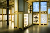 museum fur naturkunde berlin 5-2025 1297
